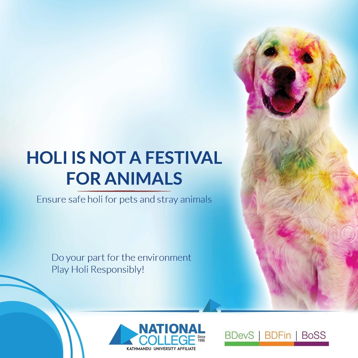 Holi is not a festival for animals